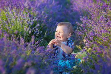 Cute baby boy smiling in lavender bush.Picture of child have fun in flower field.Childhood.