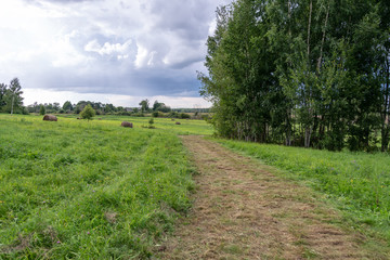 simple countryside forest road in perspective