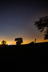 Sternenhimmel und Stadtbeleuchtung bei Nacht über Bäumen