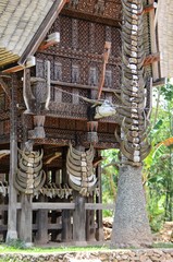 Torajaland, traditionelle Gebäude in Sulawesi - Indonesien