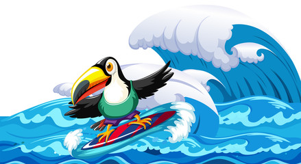 Toucan surfing big wave © blueringmedia