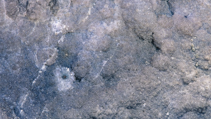 Textura de pedra