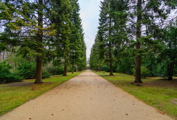 Diminish perspective outdoor scenery view of walkway and range of tree with damp after raining atmosphere in Schlossgarten at Schloss Charlottenburg, Berlin, Germany. 