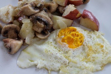 Fried egg with mushrooms and red potatoes