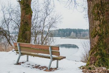 Empty Bench In The Forest Under The Snow In Winter