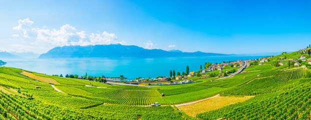 Lavaux wine region near Lausanne, Switzerland