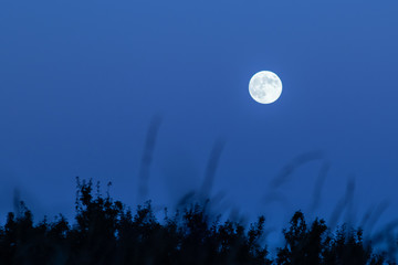 full moon in the blue sky © Hayden