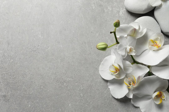 Flat lay composition with spa stones and orchid flowers on grey background. Space for text