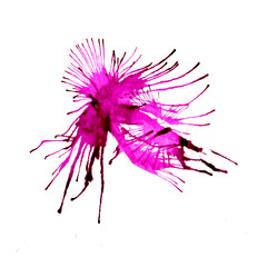 Watercolor blot isolated on white background. Pink, red and blue watercolor blot for your design