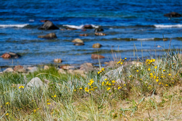 panoramic sea beach view in summer