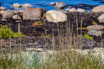 panoramic sea beach view in summer