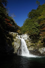 Obraz premium 笹の滝 秋空