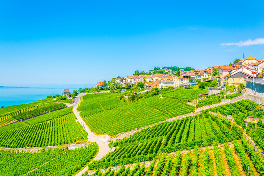 Chexbres village in the Lavaux region of switzerland