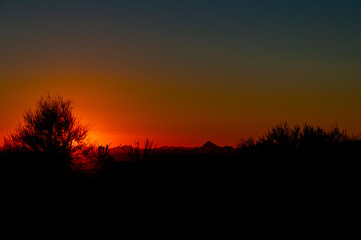 sunset in the forest