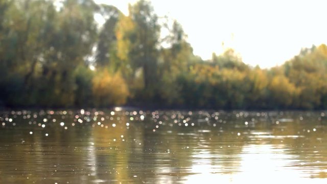 Particles on the surface of the river Defocused shot of a wavy water surface with a beautiful bokeh of sun glares which are reflected from the river.