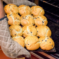 Fresh Baked Muffins out of Oven