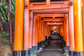 Red Torii gates in Fushimi Inari shrine