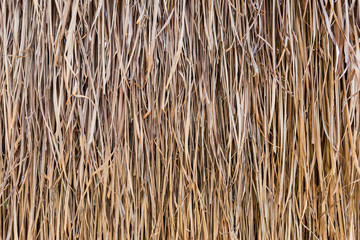 texture of thatched