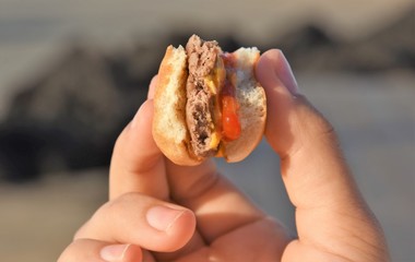 bitten hamburger in hand