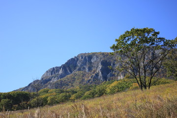 mountain 