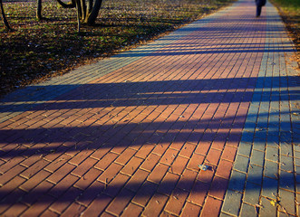 Dramatic diagonal light rays on park path landscape background