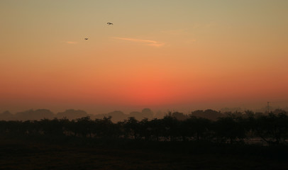 Sunrise in winter