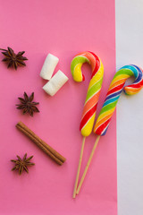 Lollipop on a gentle background. Christmas candy and caramel sticks