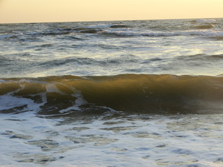 waves on beach at sunset