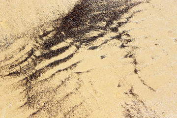 Detritus ripples on a beach in The Daintree in Queensland, Australia