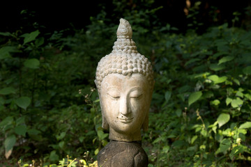 Buddha heads on green background