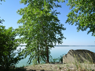 Summer landscape - the shore with trees and stones and the calm expanse of the lake