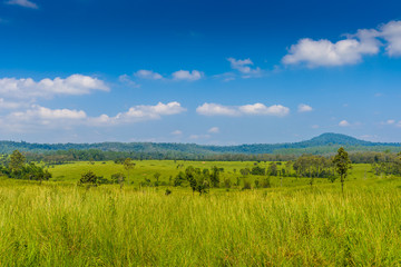 Plakat landscape of Savanna Forest and mountain with a blue sky and white clouds in the spring afternoon