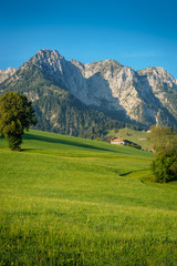 Fototapeta na wymiar Summer in Walchsee with view of the Kaisergebirge