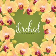 Yellow orchid flower frame on green background. Vector set of exotic tropical garden for holiday invitations, wedding, greeting card and fashion design.