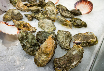 Fresh closed oysters on counter with ice