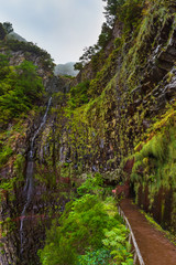 Fototapeta premium Risco levada in Madeira Portugal