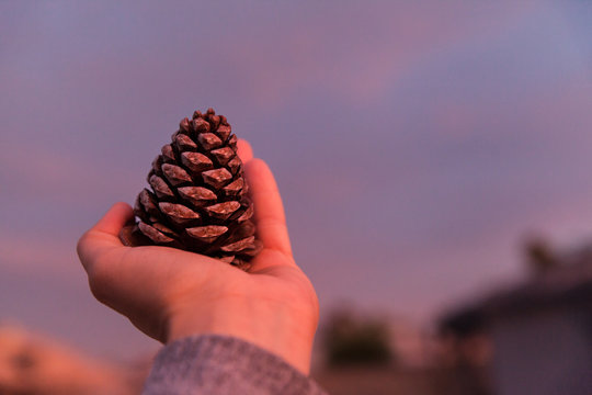 Closeup Of Woman Holding Pinecorn During Holidays With Sunset