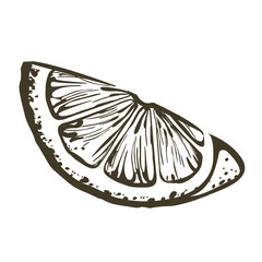 Orange Slice, icon illustration isolated on white background.