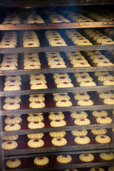 Modern bakery in confectionery factory. Cookies in the oven
