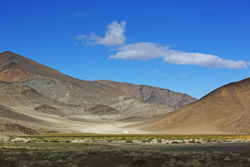 Beautiful views of the steppe and mountains with sky blue or clouds of Western Mongolia
