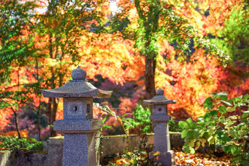 永源寺　もみじ寺
