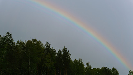 Rainbow over forest at sunset