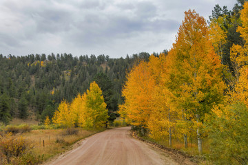 Fototapeta premium Lines on the Map 300