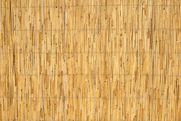 Wall made of reed closeup