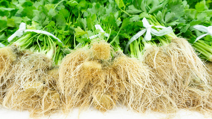 root white vegetable celery Hydroponics packing for sale in greenhouse on white foam , Close up..