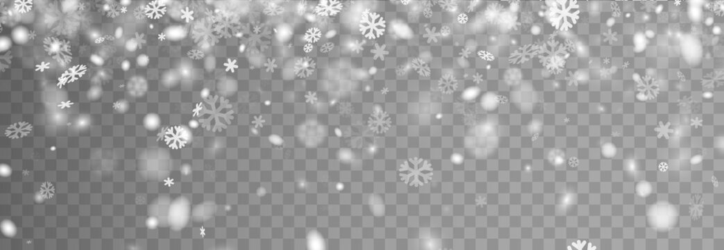 Winter Banner With Snow On Transparent Backdrop For Seasonal, Christmas And New Year Design.