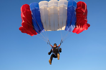 An accurate skydiver is landing.