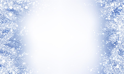White poster with fir branches and snow for winter, Christmas and New Year decoration.
