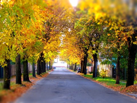 Tilt-Shift Camera App - https://play.google.com/store/apps/details?id=camera.tiltshift