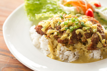 Deep fried breaded pork rice with salad, Tonkatsu